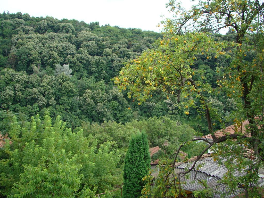 Guest House Selin Wielkie Tyrnowo Zewnętrze zdjęcie
