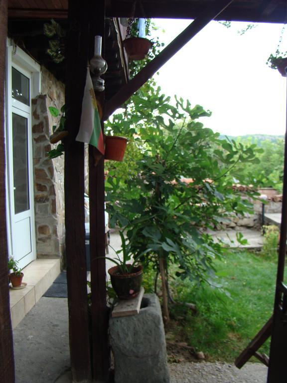 Guest House Selin Wielkie Tyrnowo Zewnętrze zdjęcie